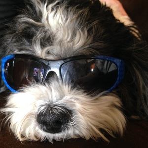 Fundraising Page: Corky Corley